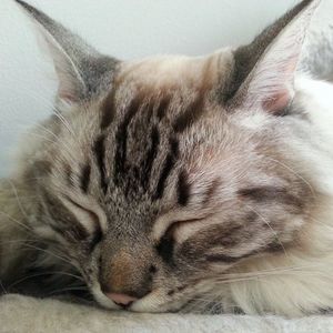 Meet your Posher, Meredith